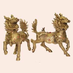 Цилинь пара