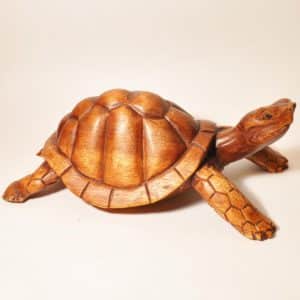 Черепаха из дерева Черепаха из дерева