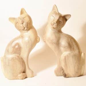 пара котиков