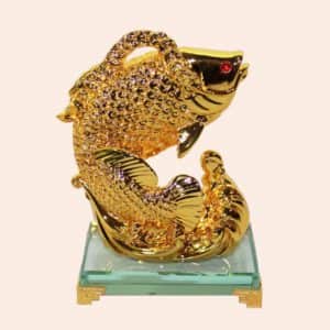 Рыба Аравана