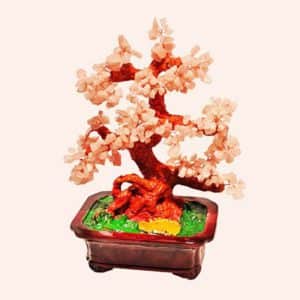 Деревья счастья