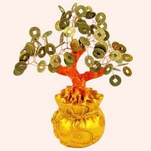 Денежное дерево 20см