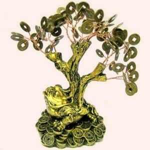 Денежное дерево на Жабе 20см