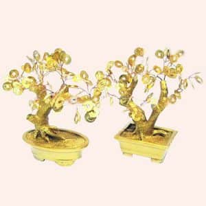 Денежное дерево 18см