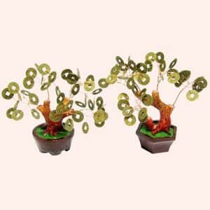 Денежное дерево 13.5см