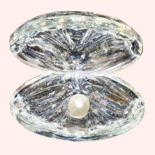 Ракушка с жемчужиной 6 см прозрачная