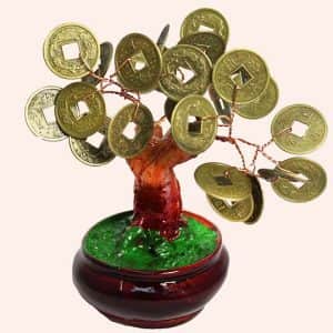 Денежное дерево 11см