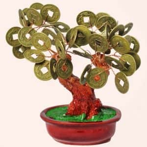 Денежное дерево 14см