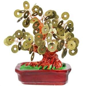 Денежное дерево 19см