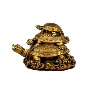 Три черепахи