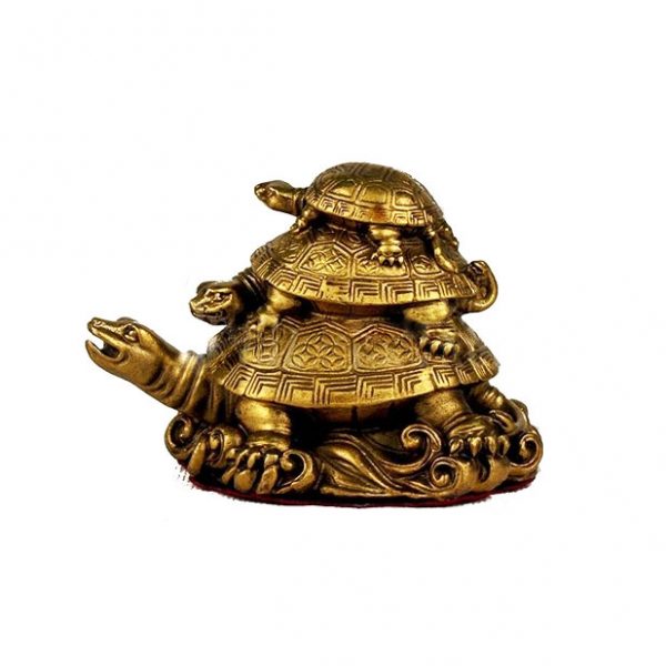 Три черепахи