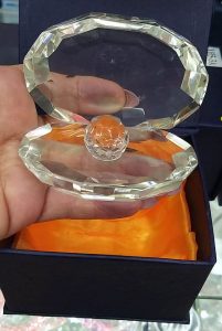 Ракушка с жемчужиной прозрачная