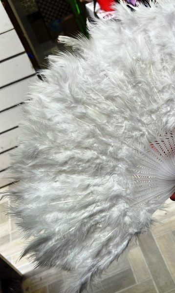 Веер из перьев 3