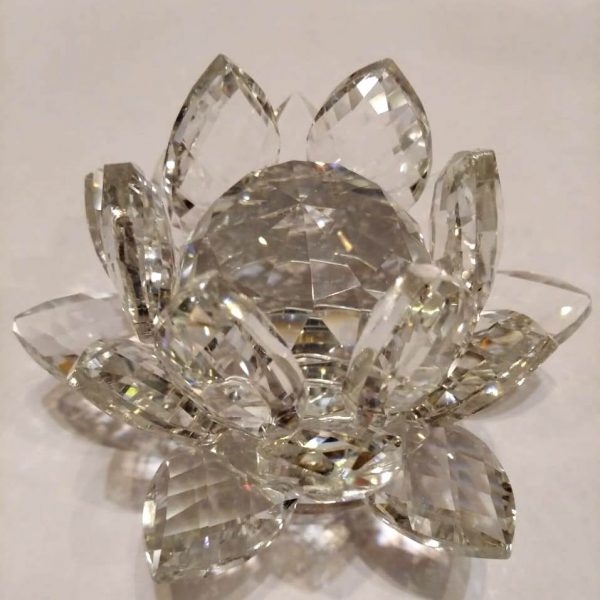 Цветок лотоса прозрачный 2