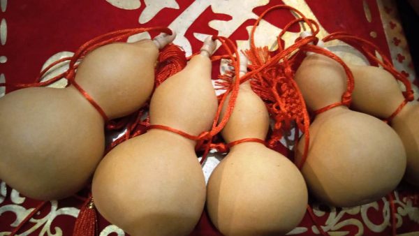 Китайская тыква ву-лу (2)