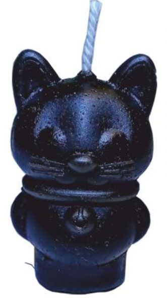 Кот символ 2023 года