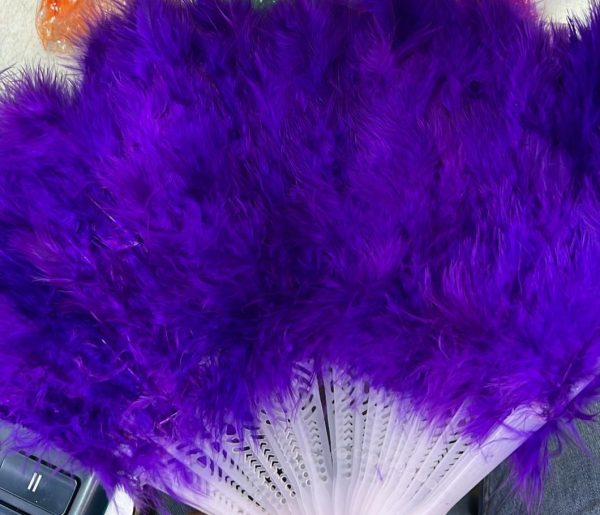 Веер из перьев 4